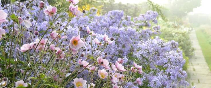 Flowery border