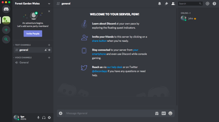 Screenshot of Discord chat service