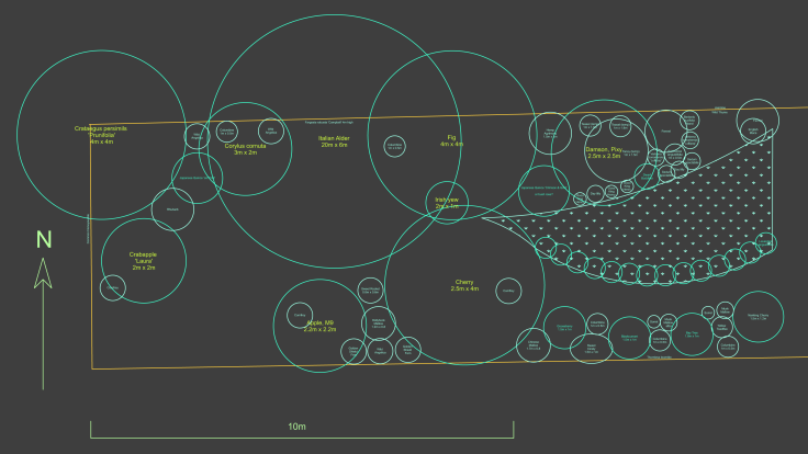 CAD forest garden plan