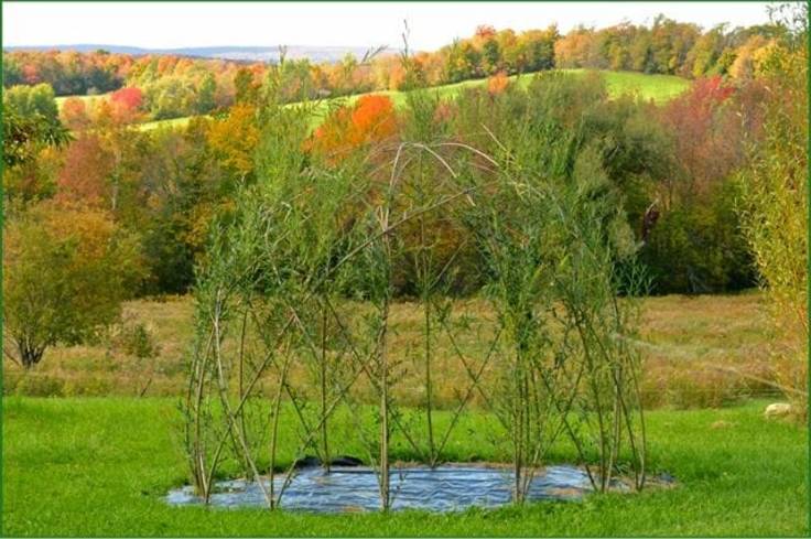 Willow dome