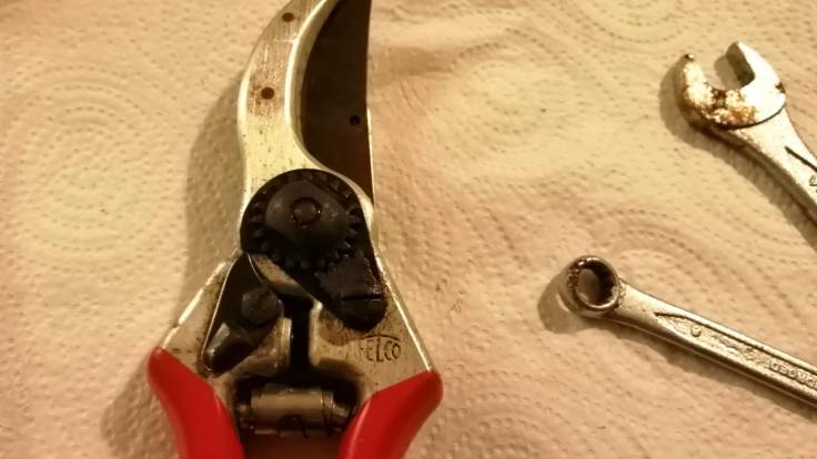 Close-up red handled secateurs and spanners