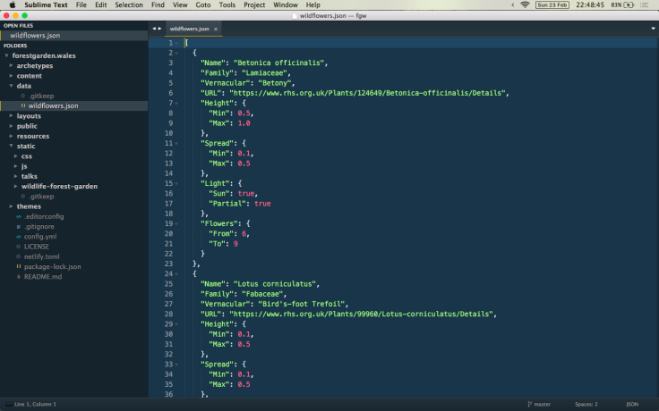 Screenshot of JSON file