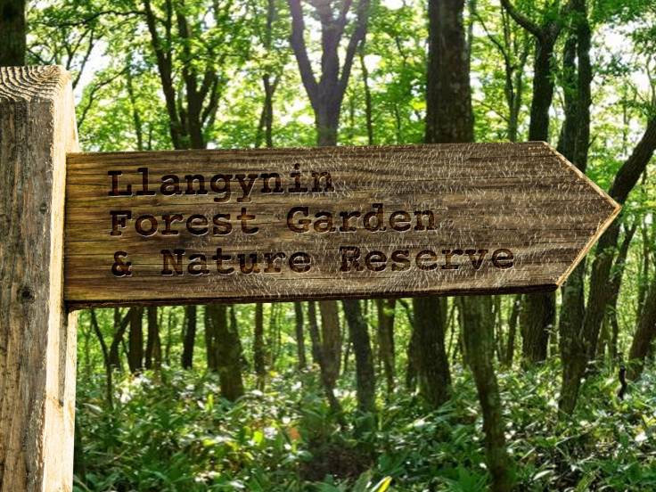 Wooden signpost with words “Llangynin Forest Garden & Nature Reserve”