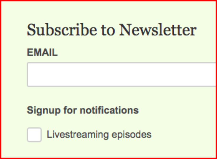 Screenshot of newsletter signup form