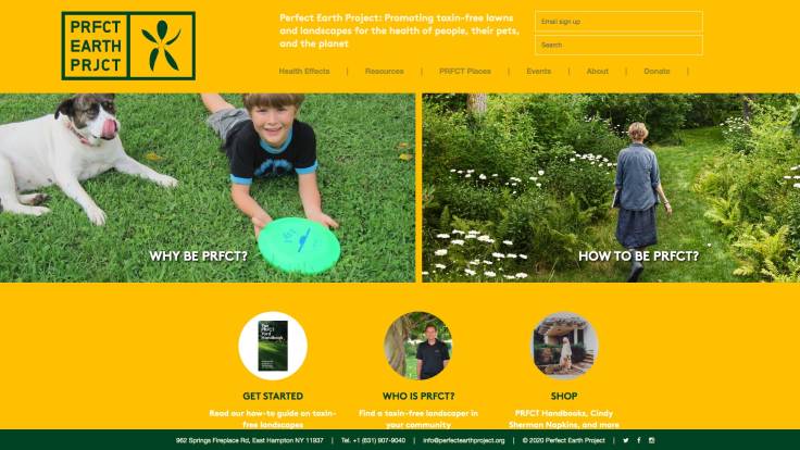 Screenshot of Perfect Earth website