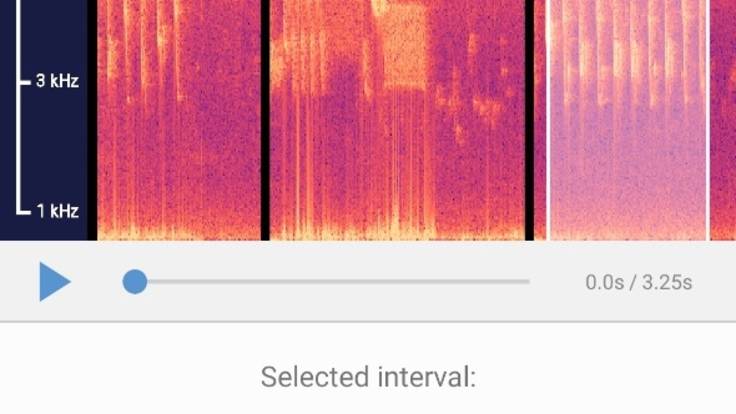 Screenshot of BirdNET app waveform selection facility