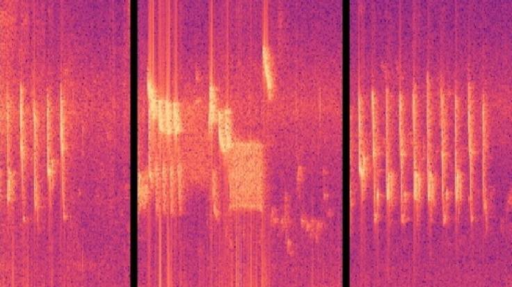 Screenshot of sound file spectral waveform