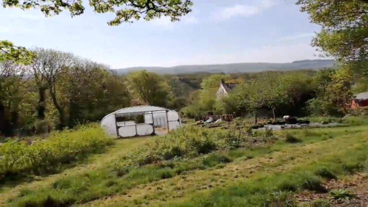 Screenshot of video, showing valley, polytunnel & forest garden