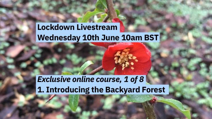 Text over photo of red flower and bark with young seedlings