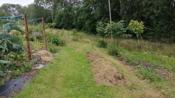 Beginnings of a raised mound by raised beds