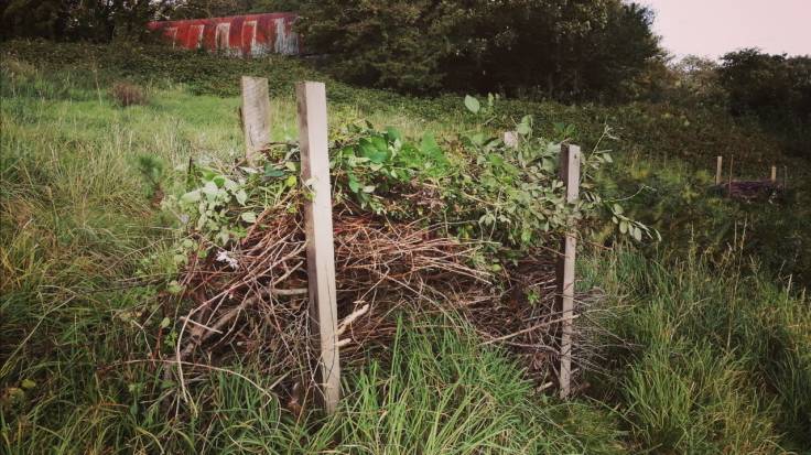 Dead hedge on a slope with newly added material