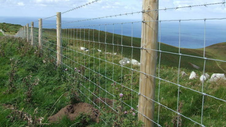 Stock fencing on coastal farm landscape