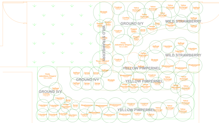 Light CAD planting plan