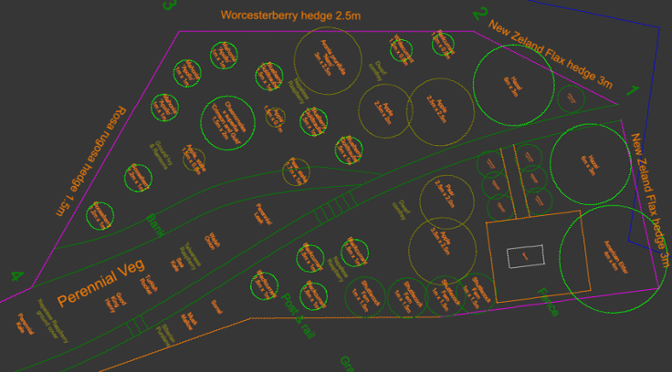 CAD forest garden design