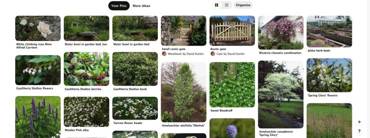 Screenshot of Pinterest