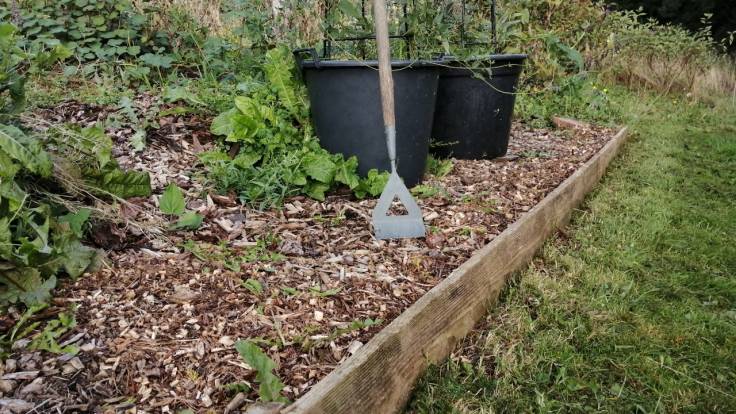 Wood chip path separated from grass path by planks. Hoe standing up by pots.