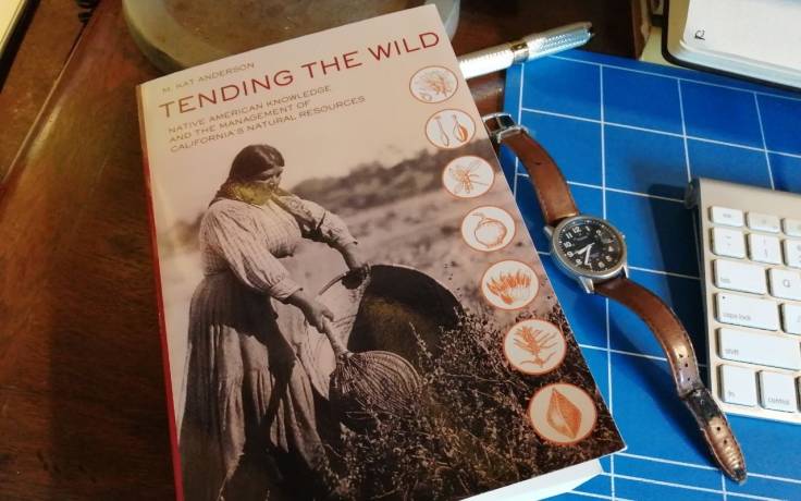 Tending the Wild book on desk