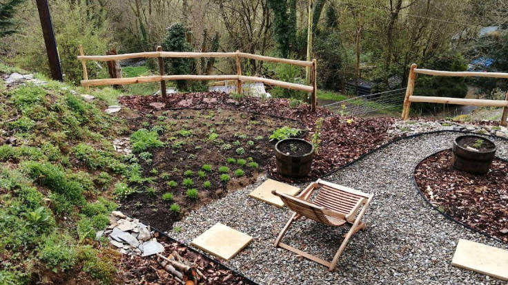 New garden from above