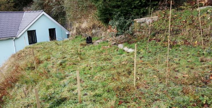 High grass garden marked with bamboo canes