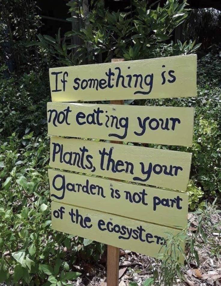 Sign saying 'If something is not eating your plants, then your garden is not part of the ecosystem