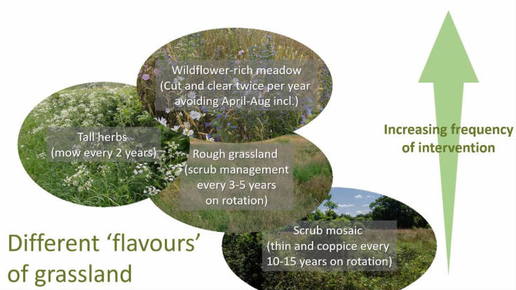 Slide of four different  'flavours' of grassland