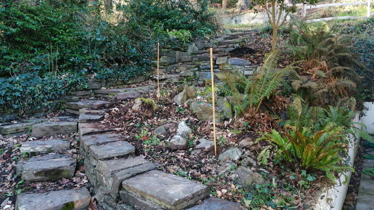 Stone steps up round past raised stone woodland beds