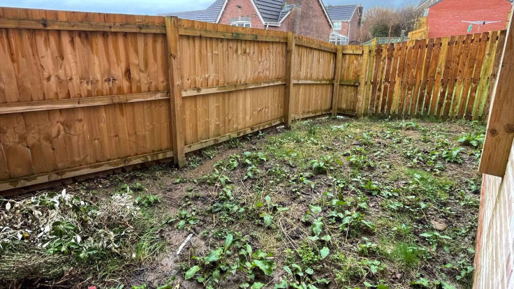 Bare fenced back yard with mud and weeds