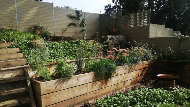 Sloping garden, steps and raised beds, all filled with plants