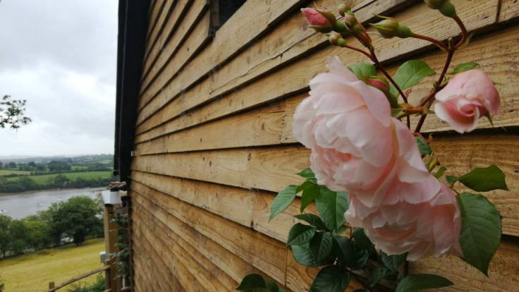 Valley in distance, viewed along timber clad end of house and past glorious rose