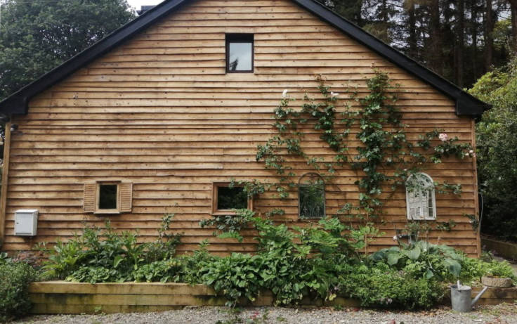 Timber clad gable end of house with rose climbing