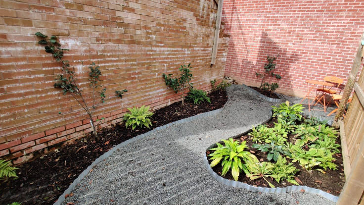 Small garden with brick walls on each side, fence on the other, curved beds with establishing plants