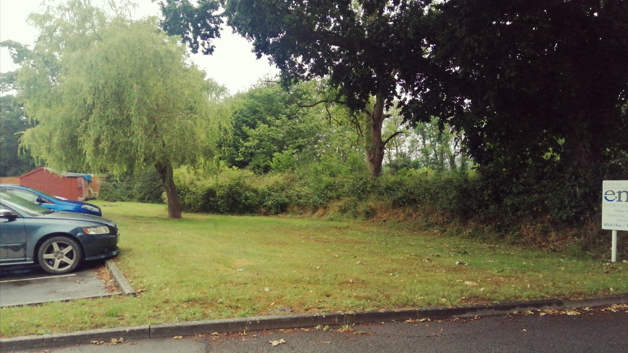 Patch of grass round the back of old people's home