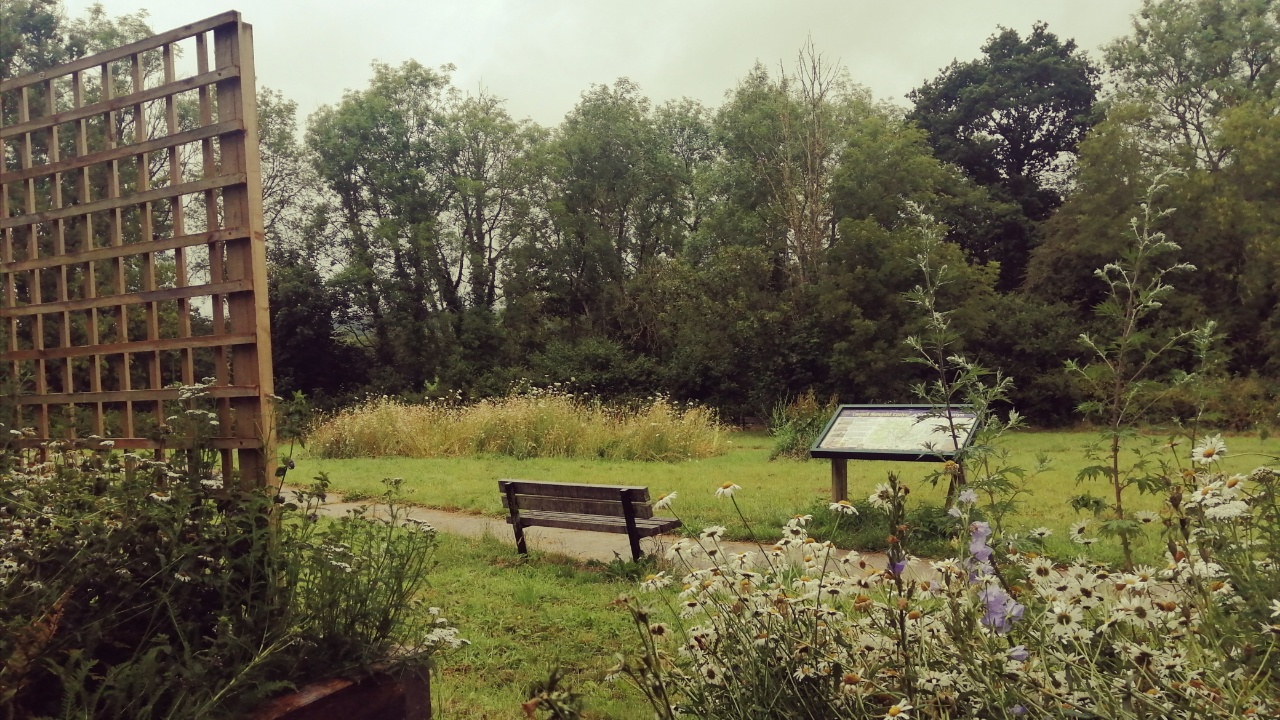 Raised beds of community garden up close
