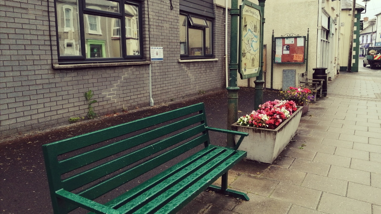 Tarmac and concrete pots of annual plants outside police station