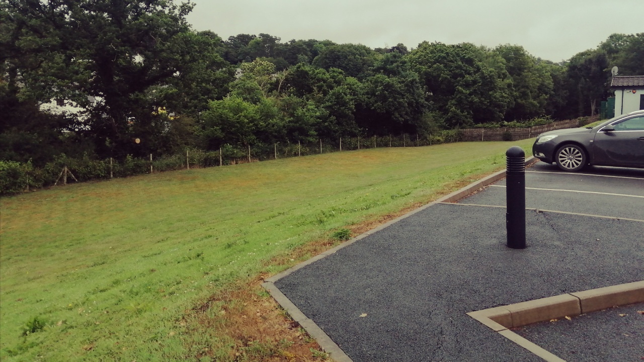 Lots of space down the slope from the dentist's carpark