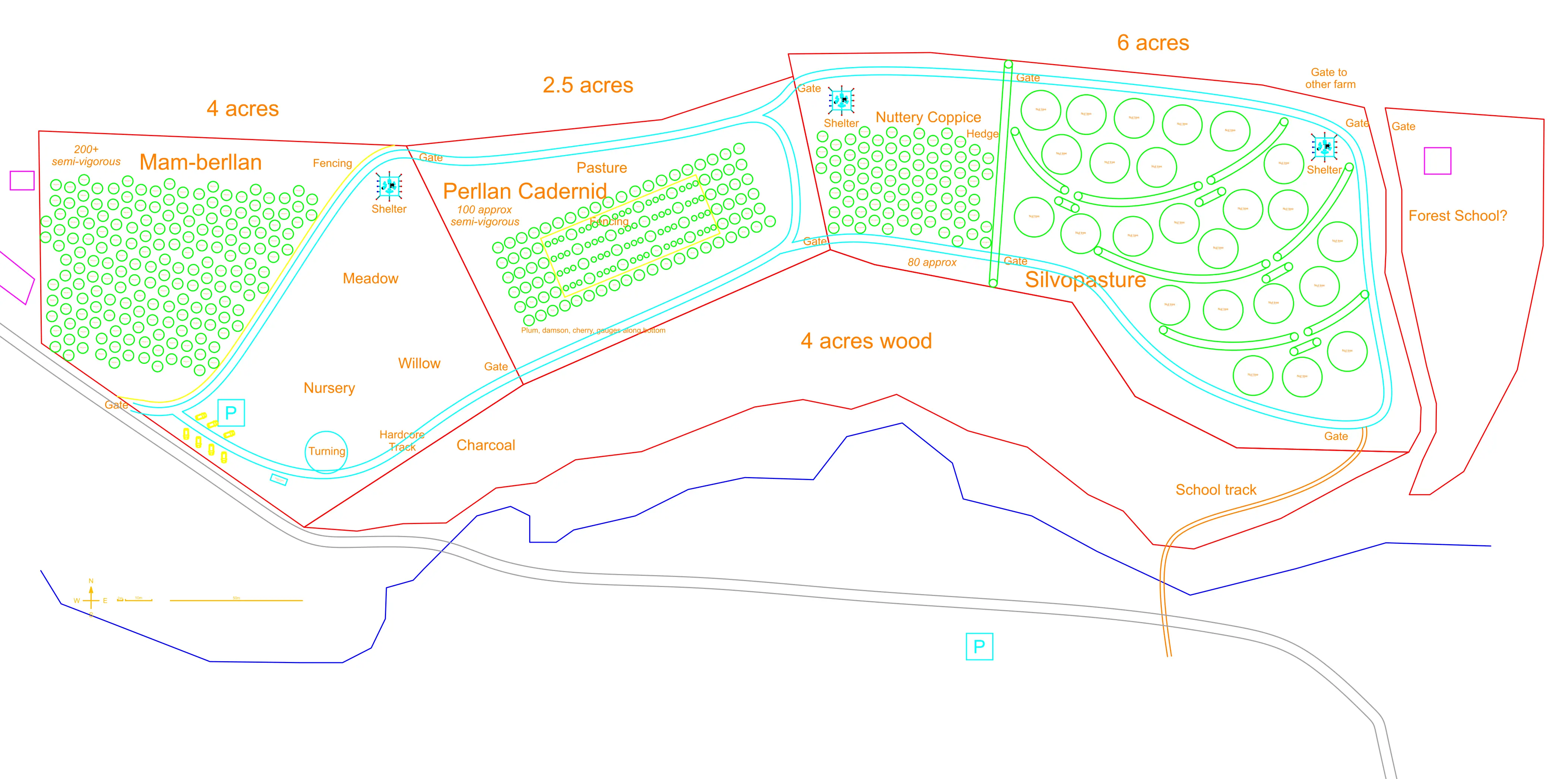 CAD plan of forest garden