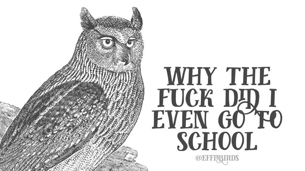 Black and white print of owl with the words “WHY THE FUCK DID I EVEN GO TO SCHOOL @EFFINBIRDS”