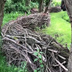 Dead hedge