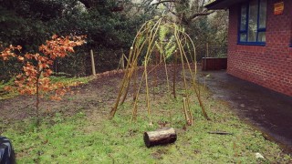 Willow dome