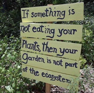 Hand-made garden sign saying “If something is not eating your plants, then your garden is not part of the ecosystem”