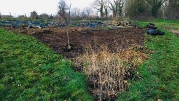 Mulched bare earth on a corner