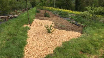 Mulched bare earth on a corner