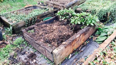 Propagation raised bed, half-emptied