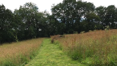 Path cut through grass field