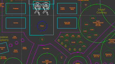 CAD plan of small garden