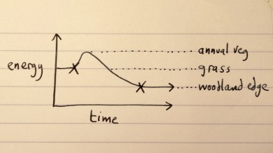 Graph energy over time, initial hump, then woodland edge less energy than grass