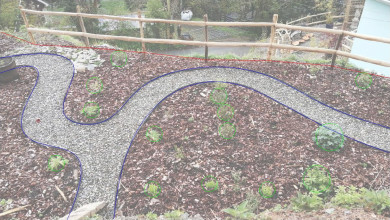 Photo from above of newly planted curvey path garden, overlaid with CAD lines on path and edge