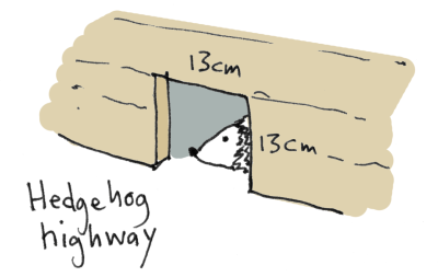 Illustration of hole in fence for hedgehog access AKA Hedgehog Highway