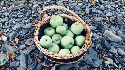 Basket of green apples on stone track