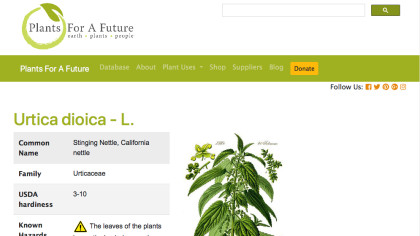 Screenshot of Plants For A Future website